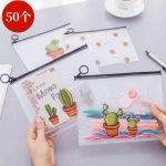 بگ شفاف کاکتوس