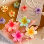 مینی پلومریا