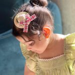 گیره کلاه حصیری